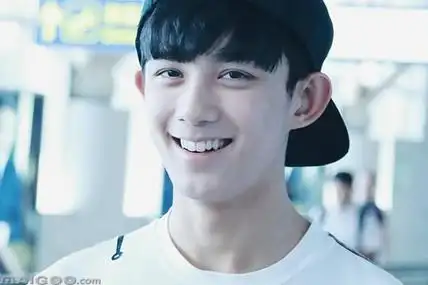 吴磊中国内地知名男演员