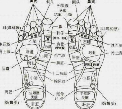 脚底穴道位置图