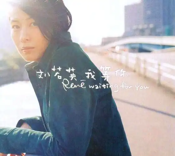 后来刘若英歌词后来刘若英歌词后来刘若英歌词