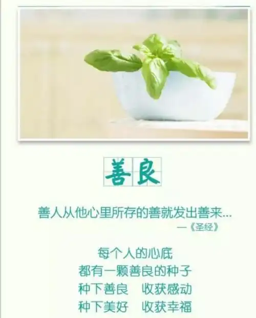 善良的种子会开花