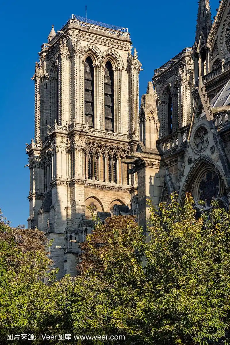 巴黎圣母院的钟楼.巴黎城,法国