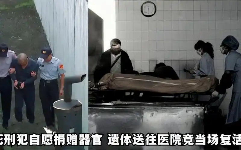 死囚临刑前自愿捐赠器官,枪决后遗体运往医院,医生看了当场愣住