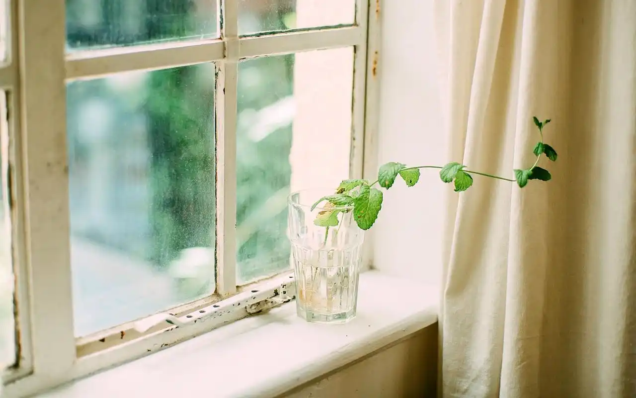 室内静物唯美文艺范图片桌面壁纸