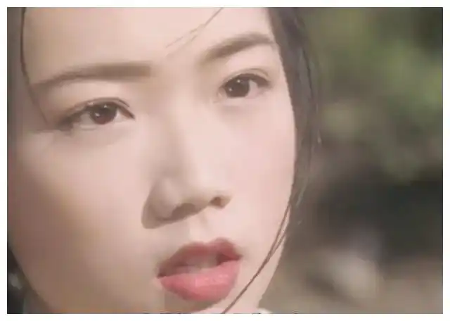 8,何洁珊   饰演完颜萍,她有着鹅蛋脸丹凤眼樱桃小嘴,近看