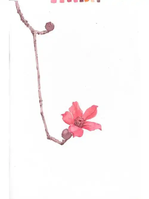 水彩手绘木棉花