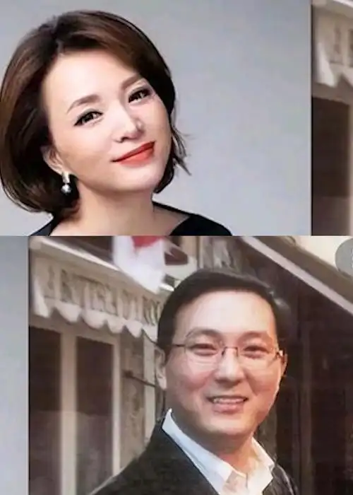 董卿丈夫密春雷被强制执行超7亿元此前已失联数月