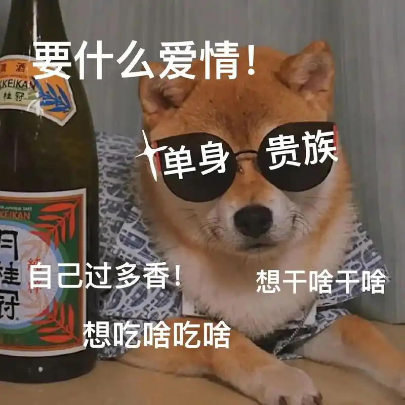 要什么爱情!#欢迎取图 #表情包分享 #单身狗 #搞笑表情包 - 抖音