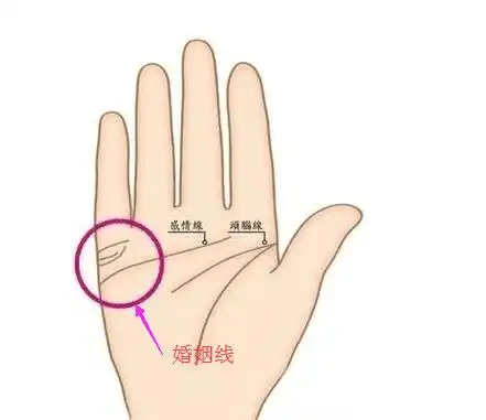 什么叫二婚线? 多条婚姻线说明什么?