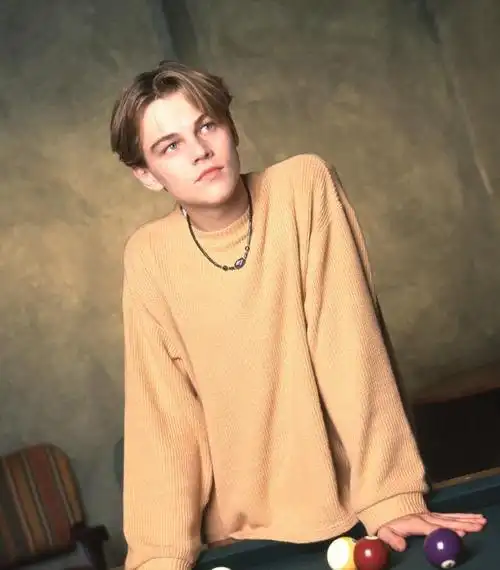 年轻时的小李子真的惊艳了时光,简直是能统一全球审美的男人