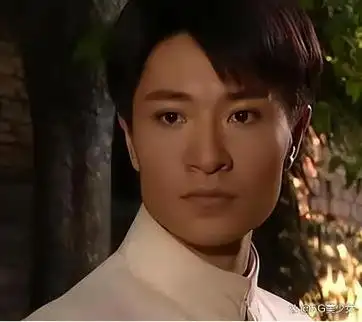 他是辛芷蕾的渣男老公演技高超称戏痴却成为捧不红的男演员