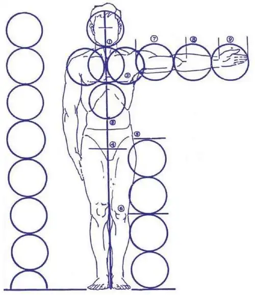 很多同学在集训中期会发现人物比例怎么都画不对,或者画得不太舒服,这