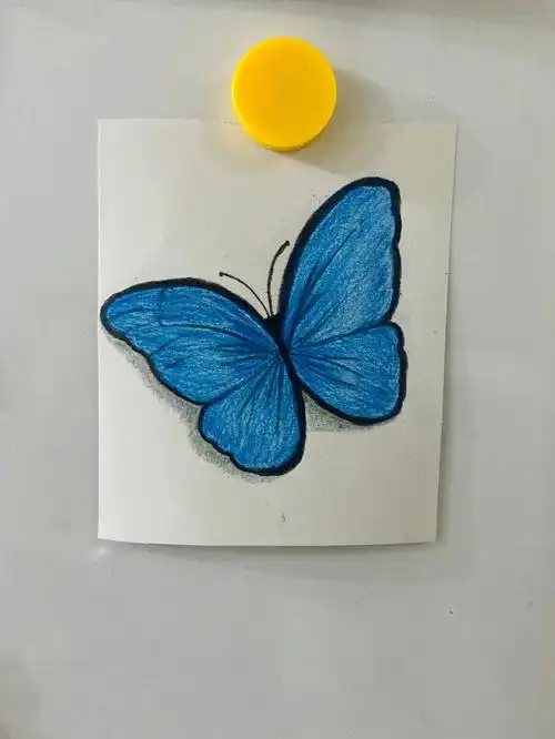 小白爱画画之彩铅画