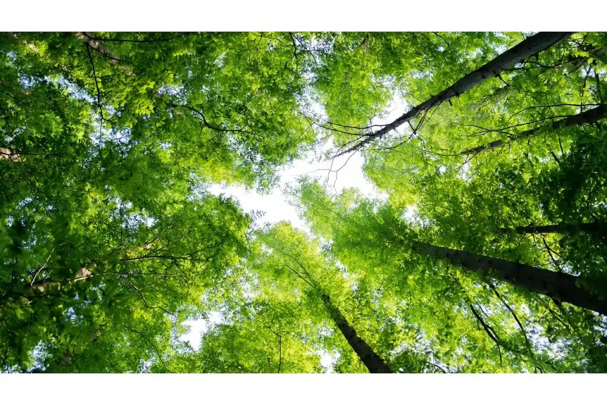 一些适合电脑用的壁纸,#摄影 #壁纸 - 抖音