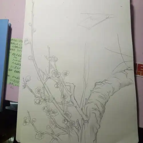 手绘铅笔梅花有过程