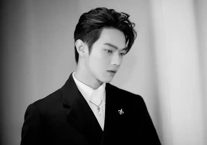 许凯家暴女朋友是真的吗 许凯白鹿分手原因 - 扒车喵