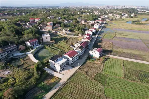 走进邵东市团山镇东红村,稻田丰收的金黄充满了产业兴旺的喜悦,荷艳鸭