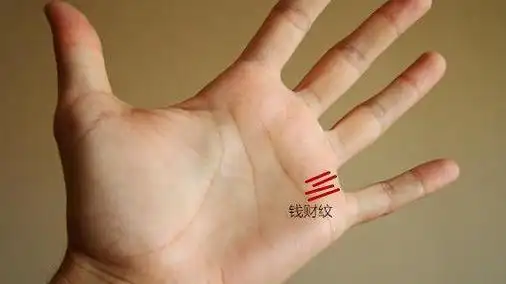 1:钱财纹与财运纹位置比较相近,钱财纹位于无名指与小拇指根部的区域