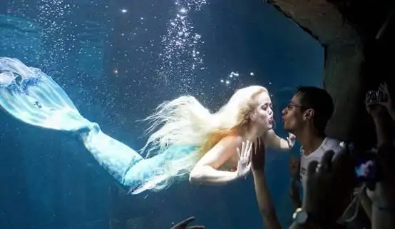 世上真有美人鱼美国水族馆火了吸引大批游客来欣赏美人鱼