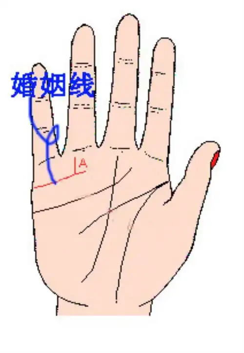 女生手相婚姻线图解 夫妻易分居离婚