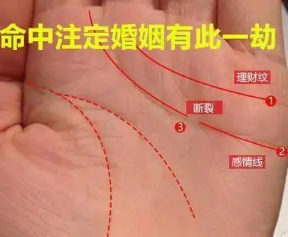 此手相者婚后多为子女原因吵闹不合至离婚