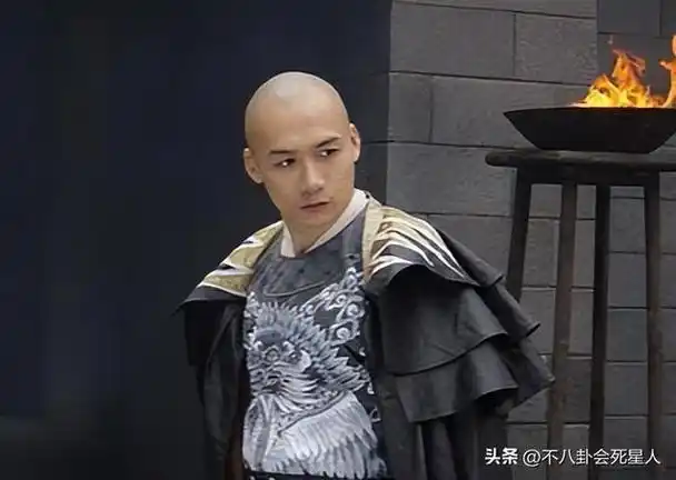 天龙八部林志颖版什么时候演的(天龙八部演员现状)13