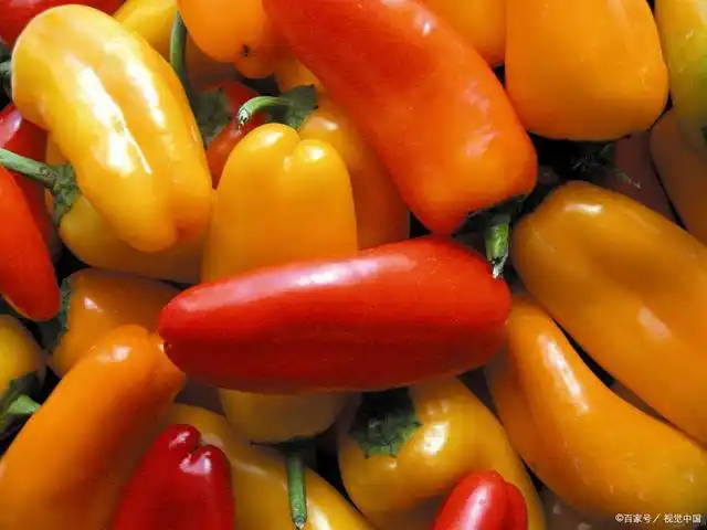 pepper是可数名词还是不可数名词?