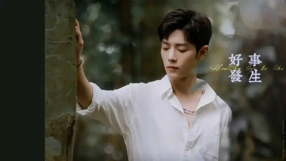 来一波电脑91壁纸叭 #肖战 #肖战肖春生   - 抖音