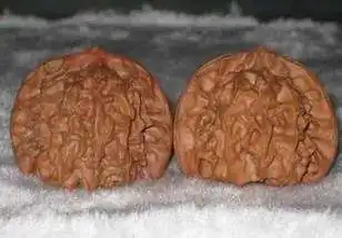 核桃中的极品你知道吗史上最全盘点文玩核桃的分类及图片