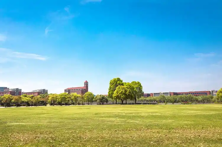 秋天红色枫树树木png素材校园插画卡通场景jpg素材卡通青春校园插画