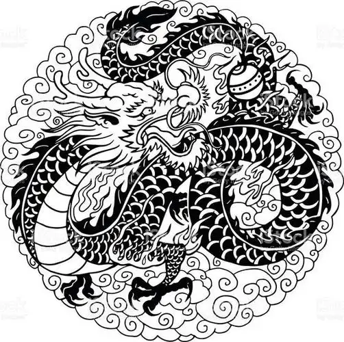 龙的图案图片大全(高清龙纹手绘线稿资料) - 赤虎壹号