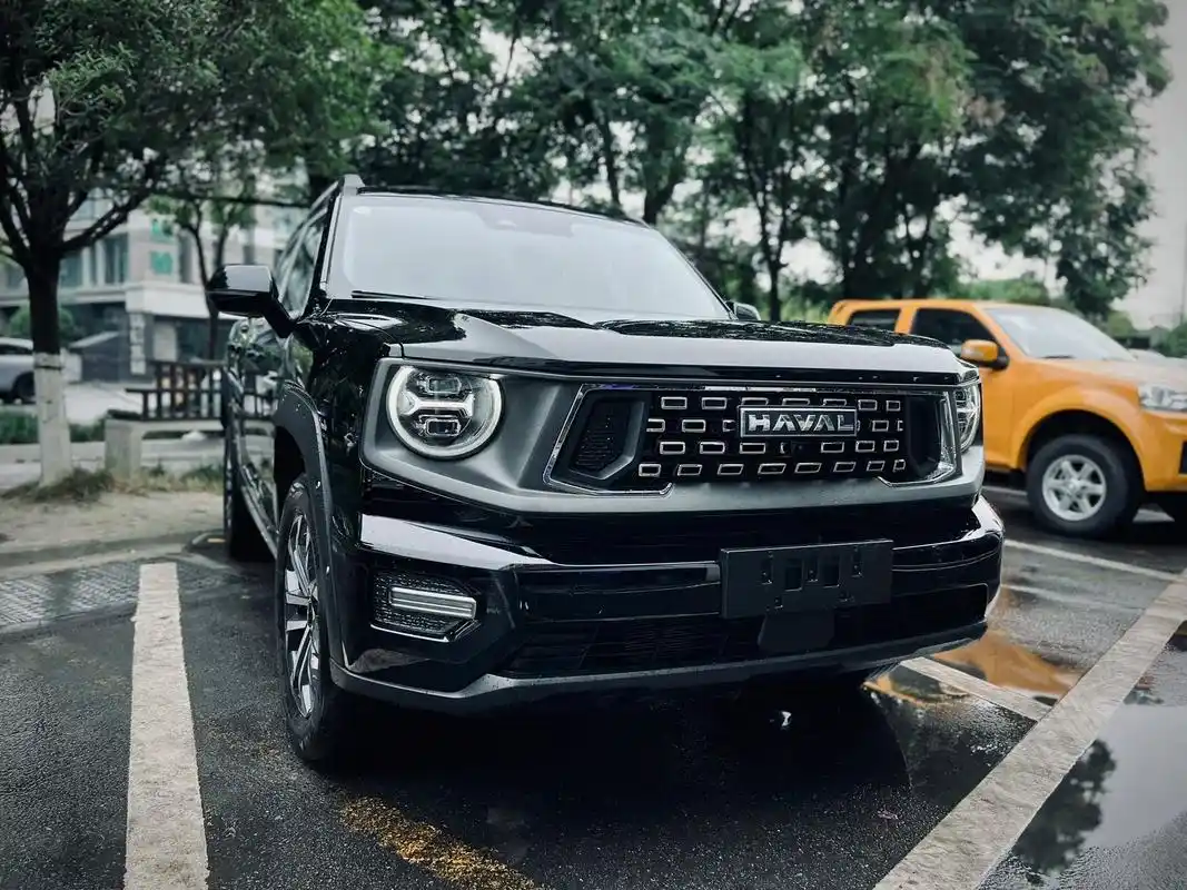 应粉丝要求 再来一期黑武士风格的图片#哈弗二代大狗 #黑武士 - 抖音