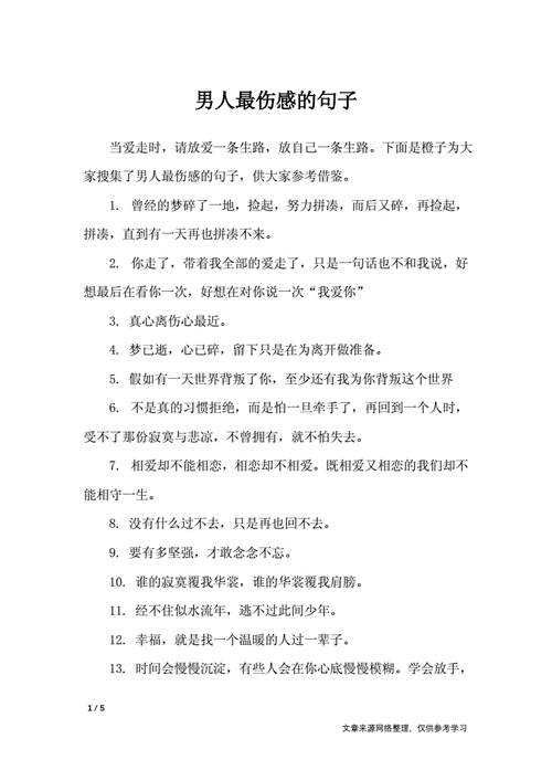 男人最伤感的句子经典语句docx5页