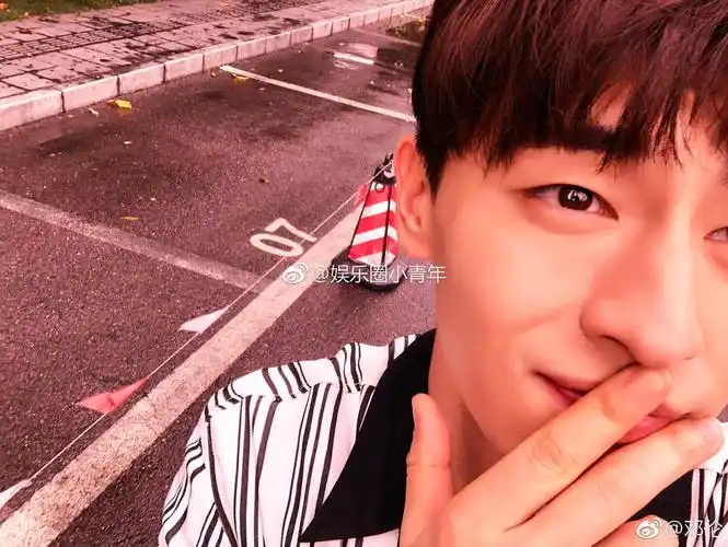 邓伦 九宫格自拍,仔细一看好像是三张,每张用了三种滤镜,套路