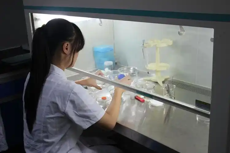 泉州医高专举办第四届"植物组织培养"技能竞赛