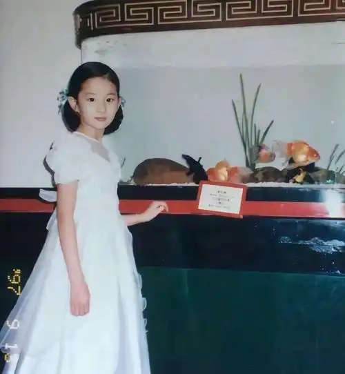 杨幂刘亦菲童年高清照从小就会打扮凹造型满是明星范