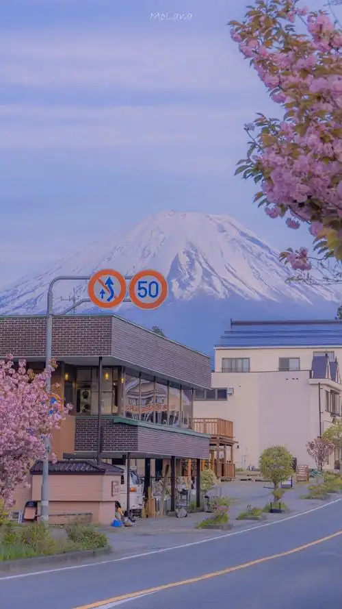 690_1227竖版 竖屏