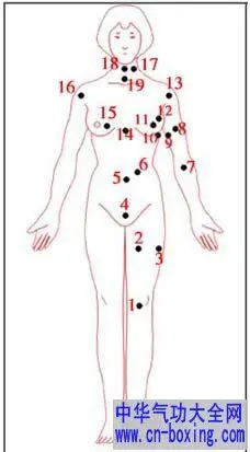 女人全身痣详解正面