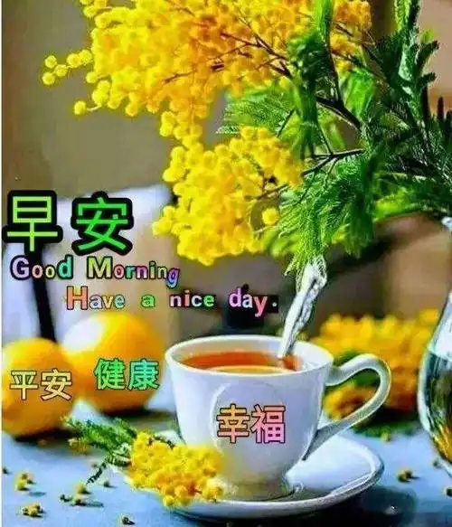 最新周四早晨祝福暖心语句,早上好问候语图片精选