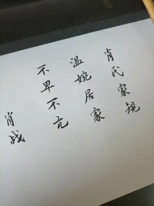 肖战语录02手写