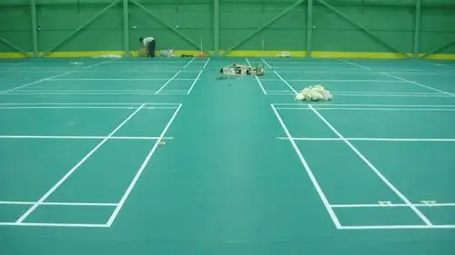 绥化敬老院硅pu羽毛球场施工-上海耐踏体育10年专业运动场地施工单位