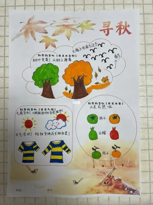 寻找秋天幼儿园作业秋天的变化
