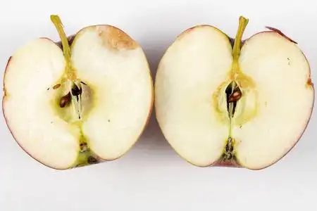 苹果甜的水果图片