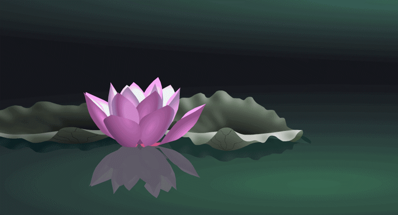 800_432gif 动态图 动图