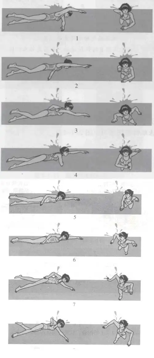 自由泳泳的完整配合有多种形式,常见的是6:2:1,即6次打腿,2次划水,1