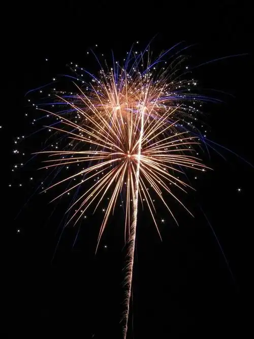 烟花一现刹那芳华 只为一场璀璨的表演