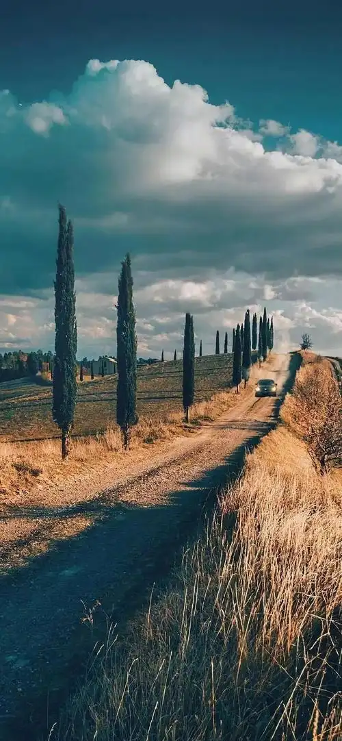 全面屏壁纸高清 | 唯美小清新手机壁纸