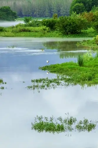 自然和谐的山水花鸟