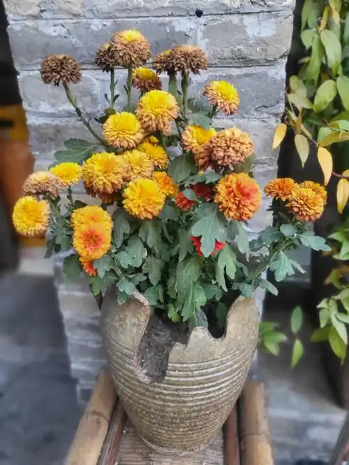 收集古城里的烟火气 什么时候能跟王嘉尔一起围炉煮茶? - 抖音