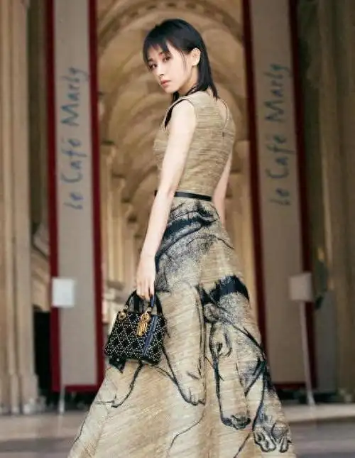 本期我们要说的是颜值女神王子文的故事.