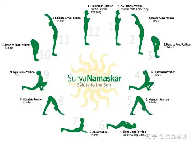 中西医结合讲瑜伽拜日式的功效—叫醒我的真的是瑜伽!